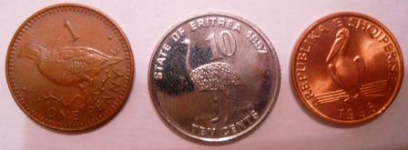 My-Latest-Themed-Acquisitions---Birds