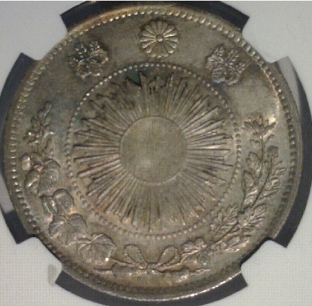 New-Coin---NGC-MS-63---Comments