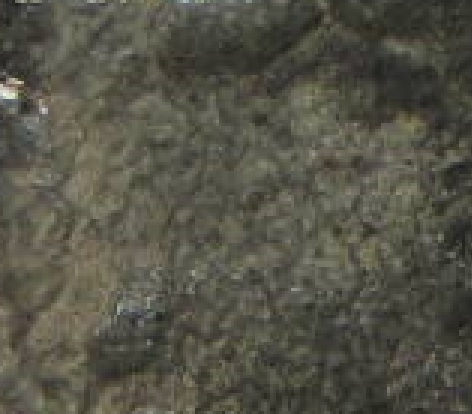 Common-1892-MO-Cap-And-Rays-8-Reales-W/Fire-Damage?