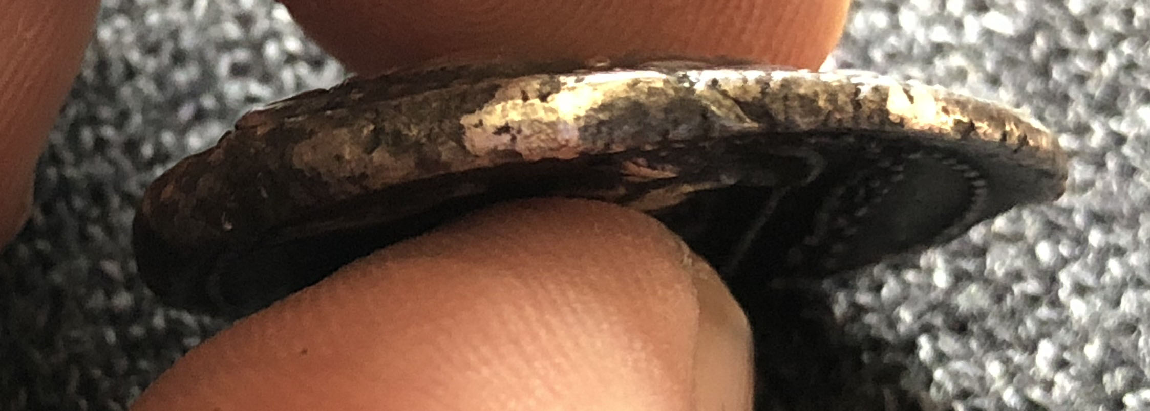 Alexander-Tetradrachm?-Identifying-Marks