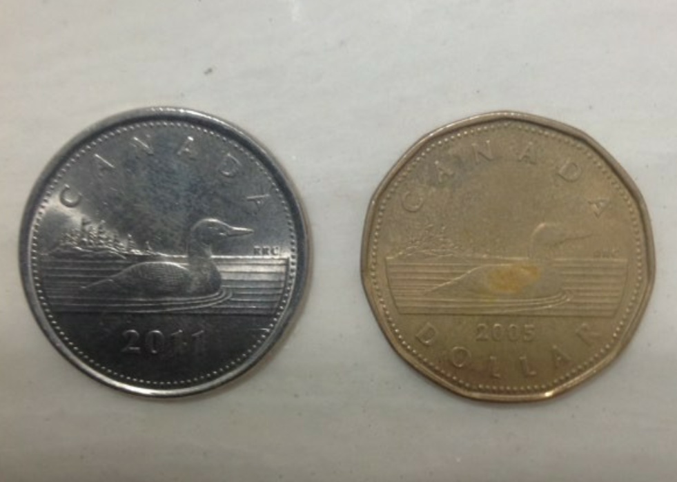 2011-Loonie-Silver-Coloured-With-RCM-Logo-On-Obverse...-ID-Please?