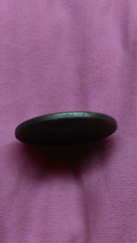 Greenish-Brown-Quarter-With-Smooth-Collar?-Any-Clue?