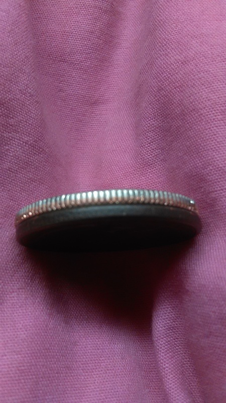 Greenish-Brown-Quarter-With-Smooth-Collar?-Any-Clue?