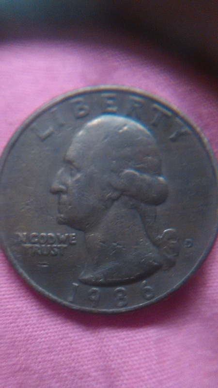 Greenish-Brown-Quarter-With-Smooth-Collar?-Any-Clue?