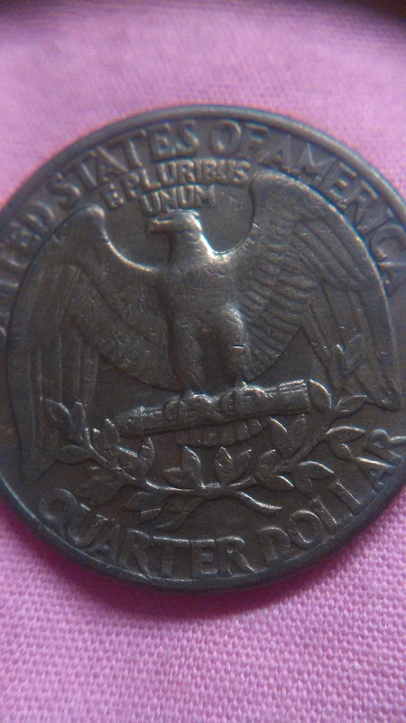 Greenish-Brown-Quarter-With-Smooth-Collar?-Any-Clue?