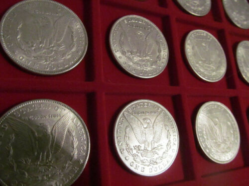 Morgan-Dollar-Questions