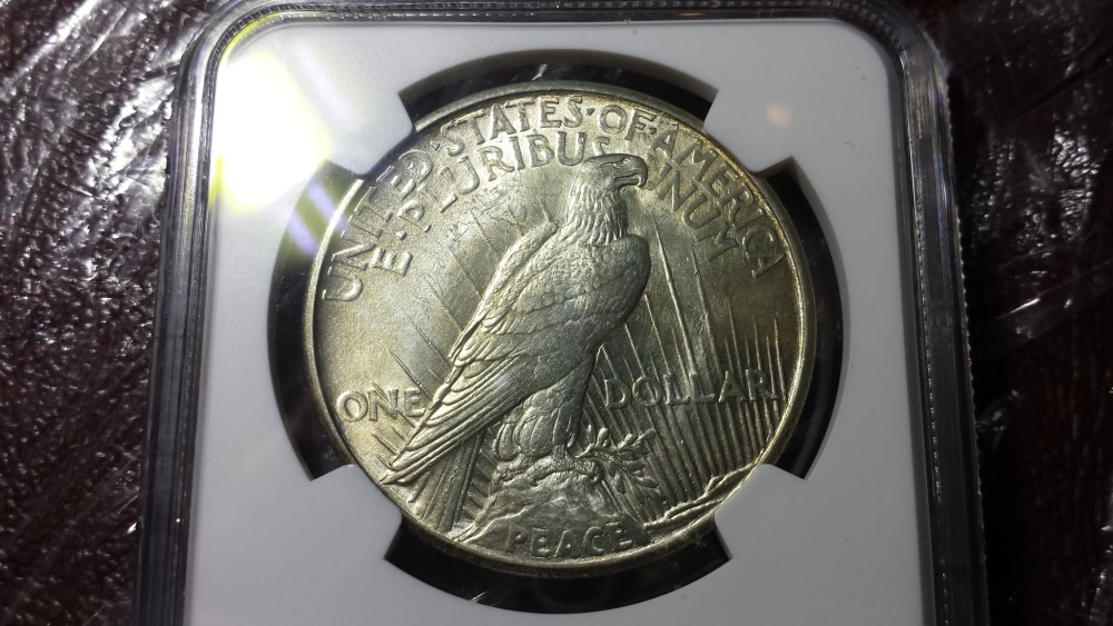 1921-Peace-Dollar---Can-This-Really-Be-What-NGC-Says-It-Is?