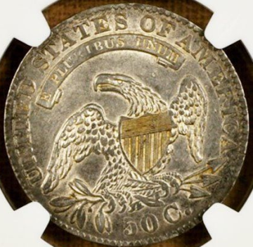Does-This-Color-Look-Natural?-1833-Bust-Half
