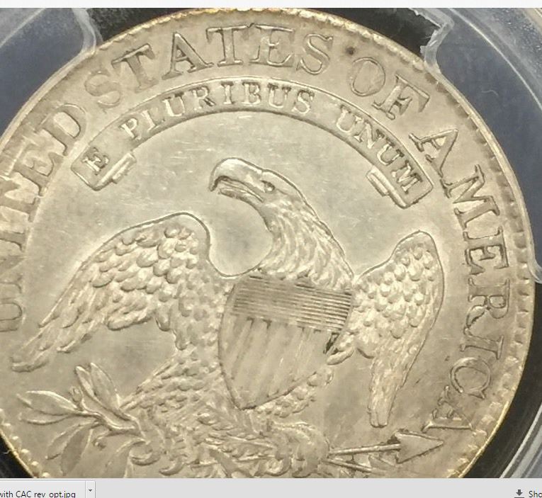Can-You-Help-Me-Choose?-1825-Capped-Bust-Half-Dollar