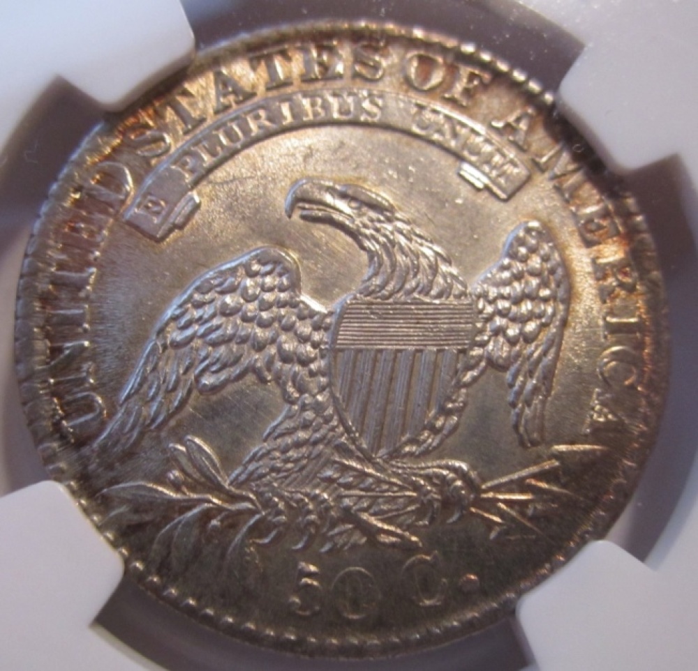 I-Need-Some-Help.-1832-Capped-Bust-Half.