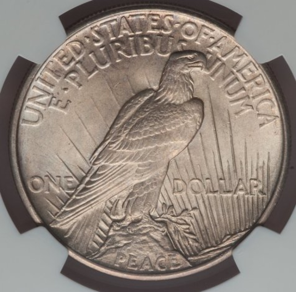 Toned-1921-Peace-Dollar-For-You-To-Grade.