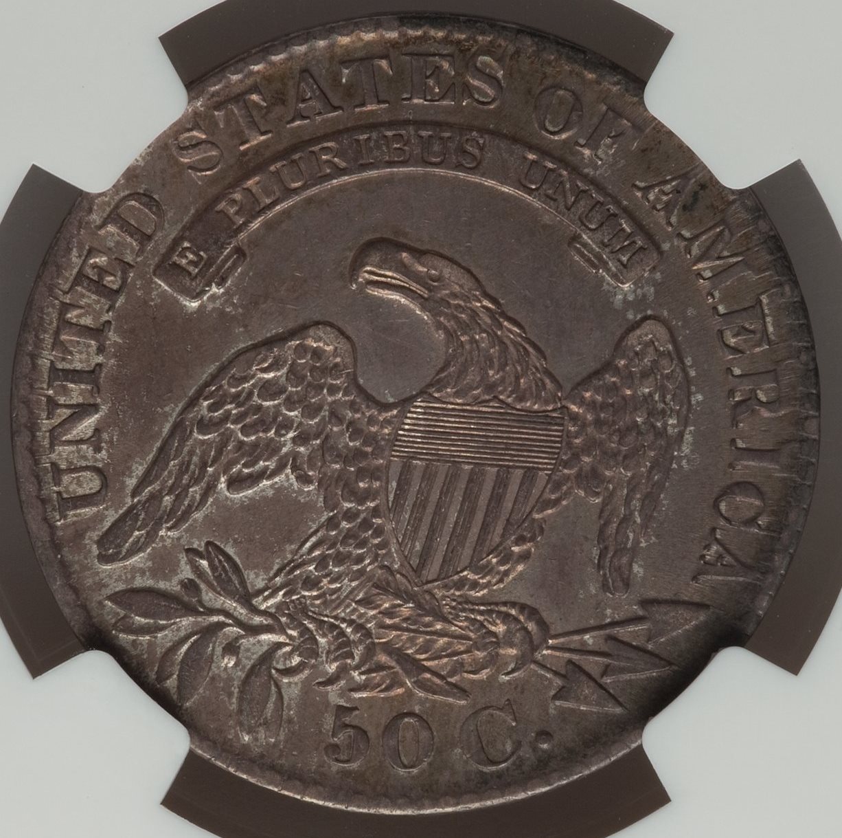 1829-Capped-Bust-Half---Opinion-On-Grade-/-Surfaces-Requested