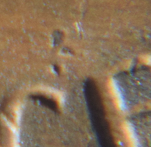 Floating-8?-1981-D-Lincoln-Penny