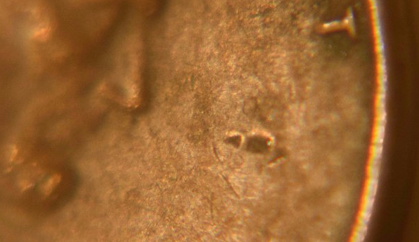 Floating-8?-1981-D-Lincoln-Penny