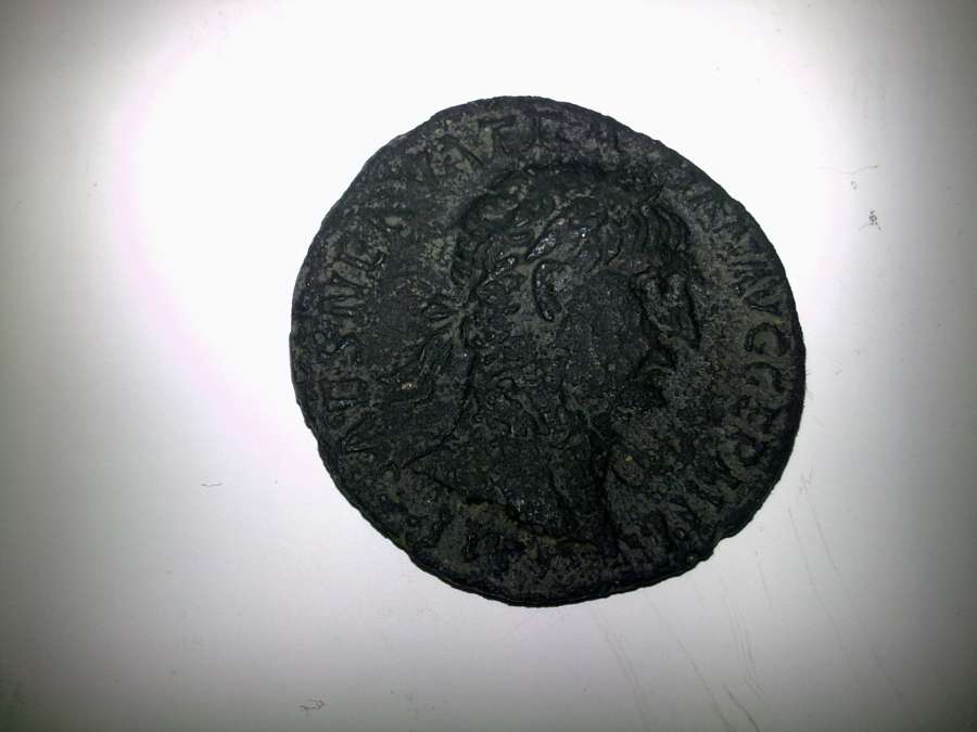 My-New-Coins