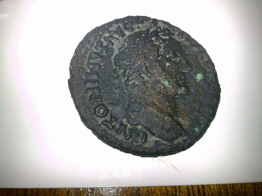My-New-Coins
