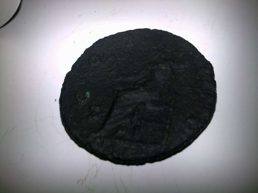 My-New-Coins