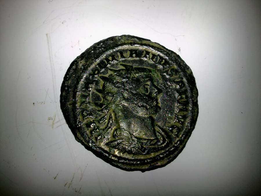 My-New-Coins
