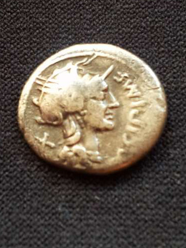 My-New-Coins