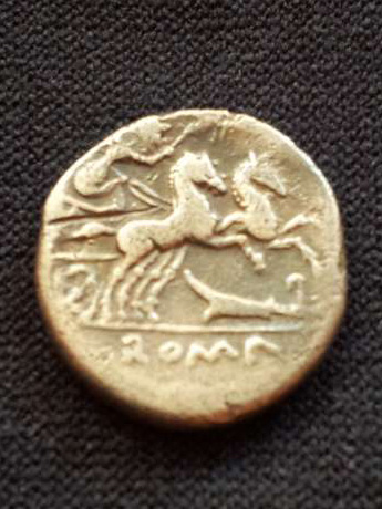 My-New-Coins