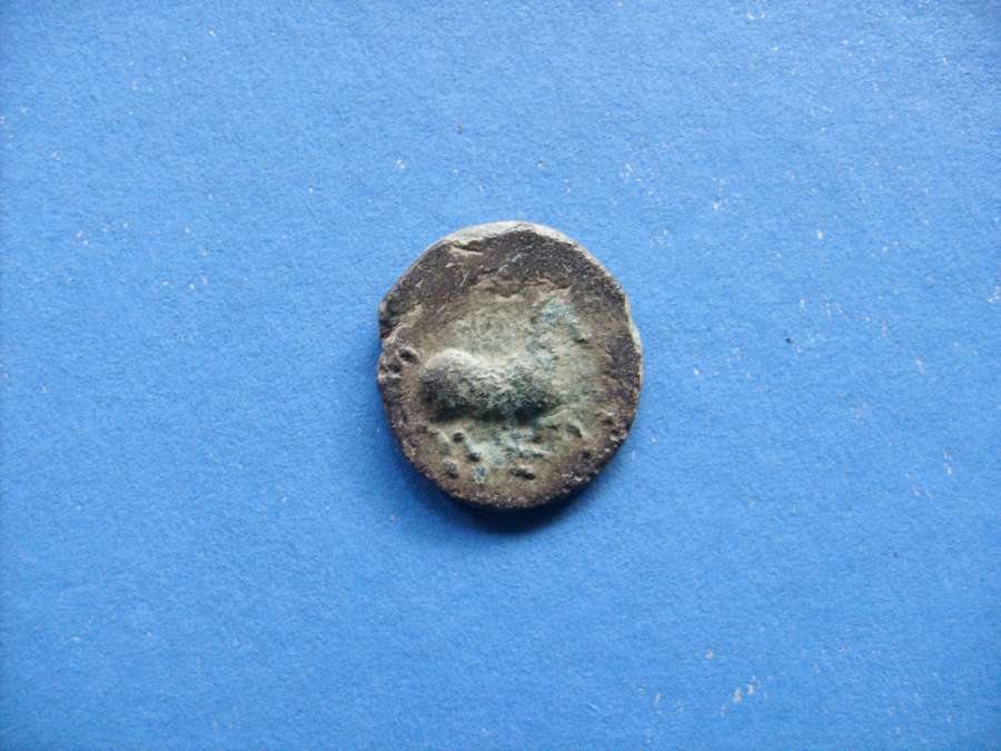 Ancient-Coins-With-Horse-Monograms,-Show-Yours-: