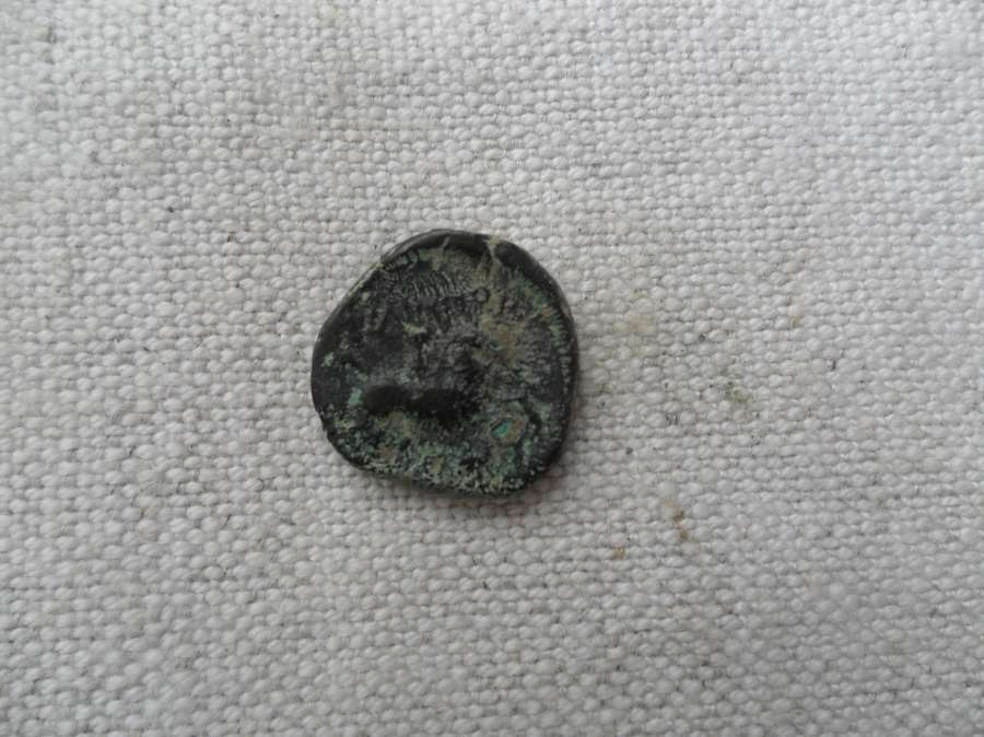 Ancient-Coins-With-Horse-Monograms,-Show-Yours-: