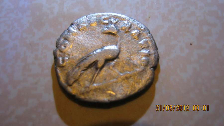 Post-Your-Best-Women-On-Coins