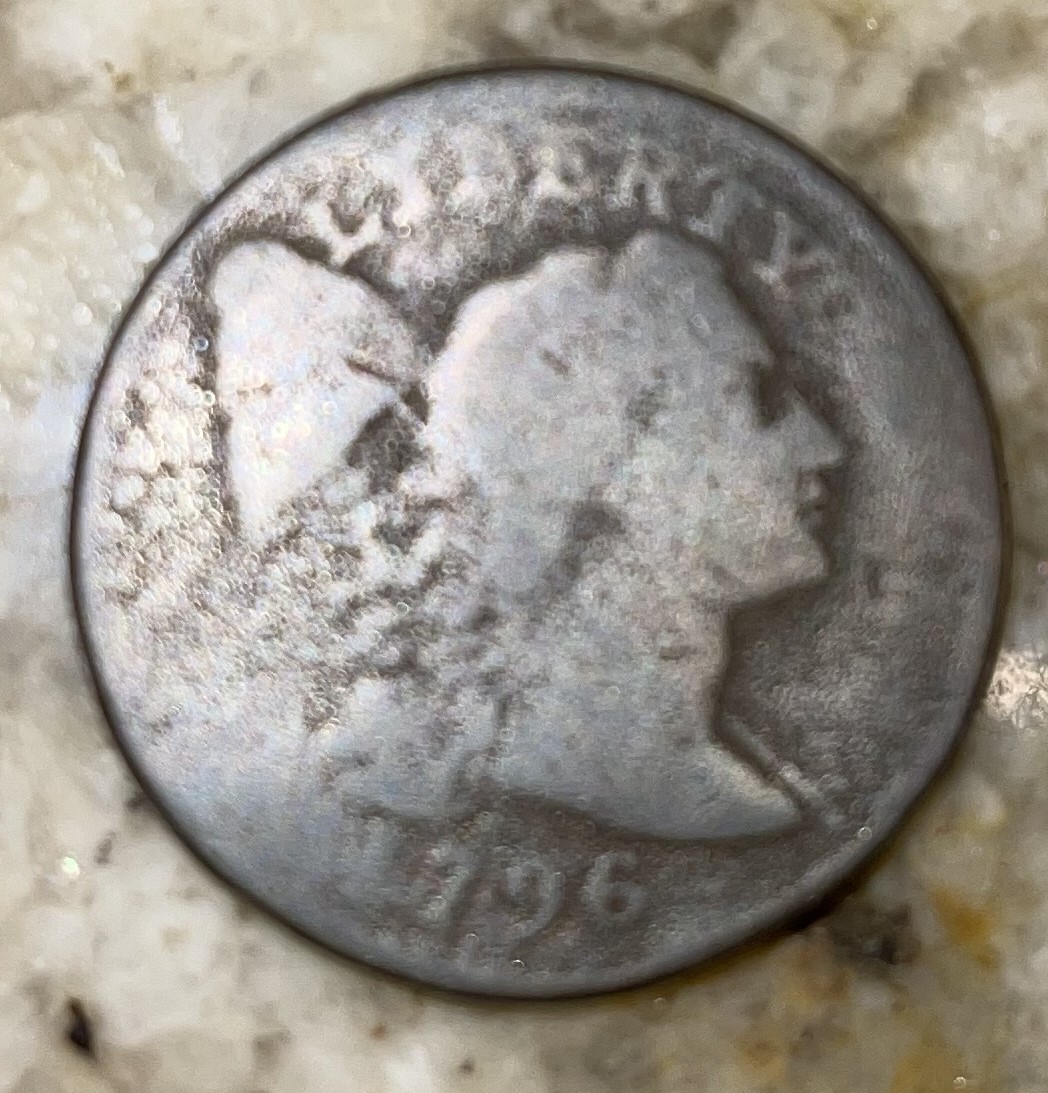 Large-Cents-And-Should-I-Send-Them-In-To-A-Third-Party-Grader?