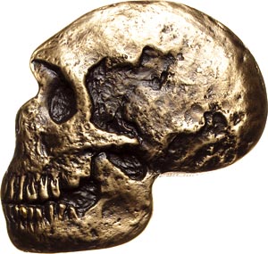 1856-2006---150-Years---Discovery-Of-The-Neanderthals