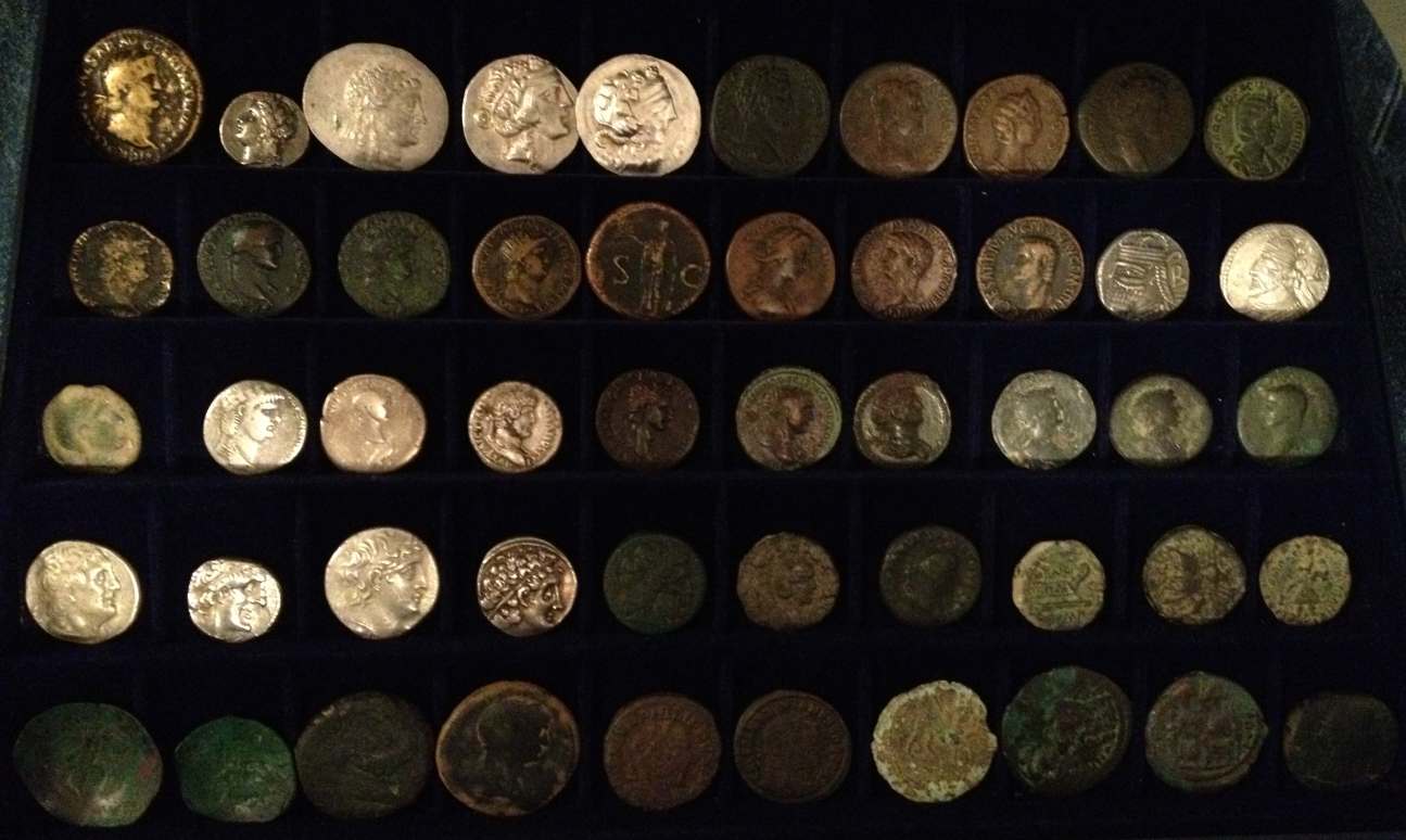 How-Do-You-Store-Your--Ancients?