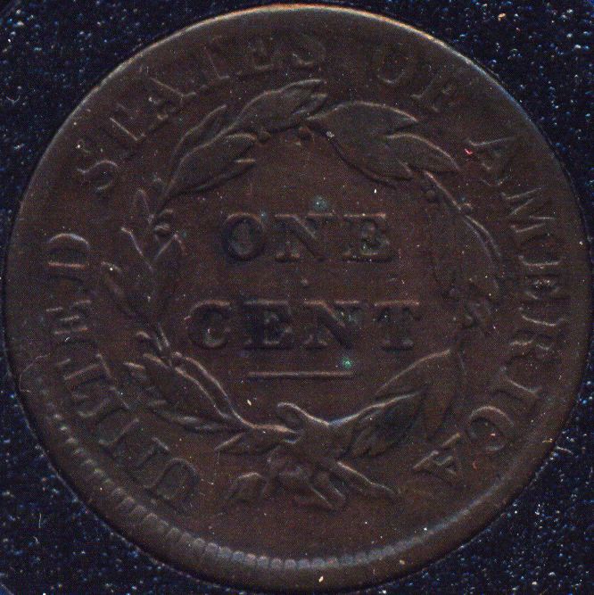 The-65-Days-Of-Large-Cents!