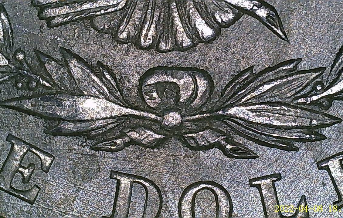 Possible-1921-P-Morgan-Dollar-VAMs---Need-Help/Opinions/Commentary!