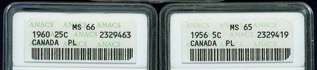 ANACS-MS-&-PL-?