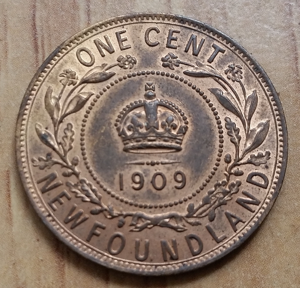 1909-NFLD-One-Cent-MS?---Br-Or-R/B