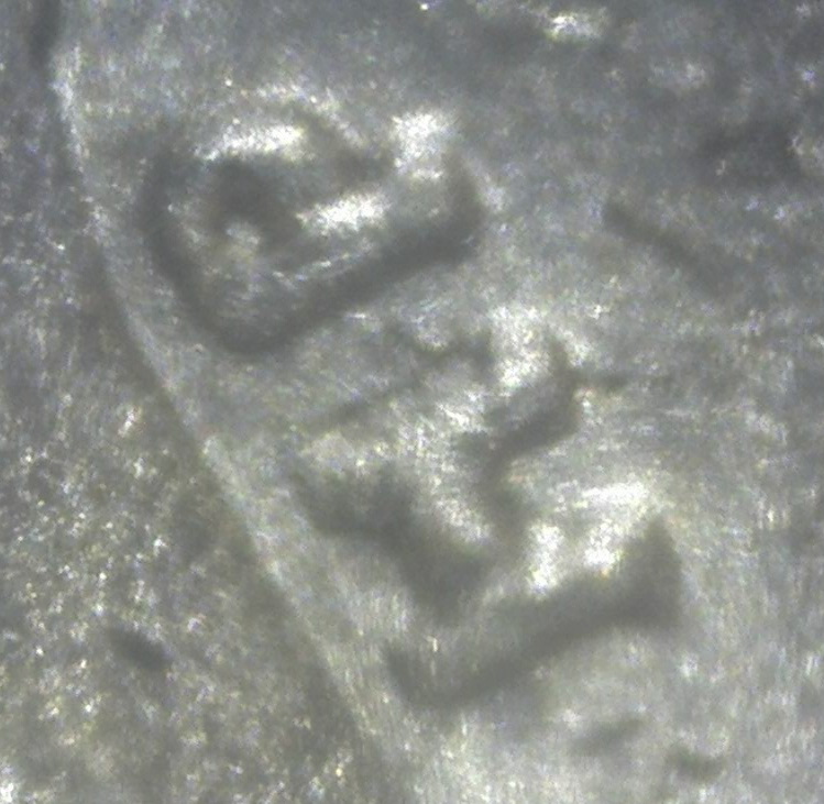 2-Hp-On-A-1937-25-Cents-?--Zoom-Pics...