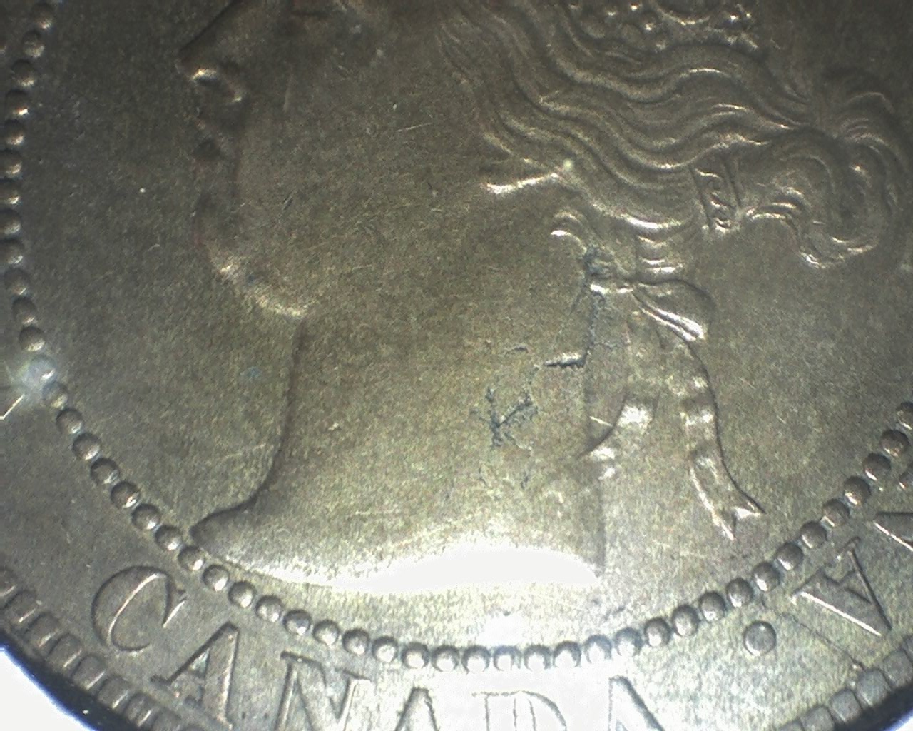 1894-One-Cent-Large-Or-Normal-4-?