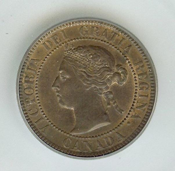 1884-Large-Cent---Is-This-An-OBV-1-Or-OBV-2-?