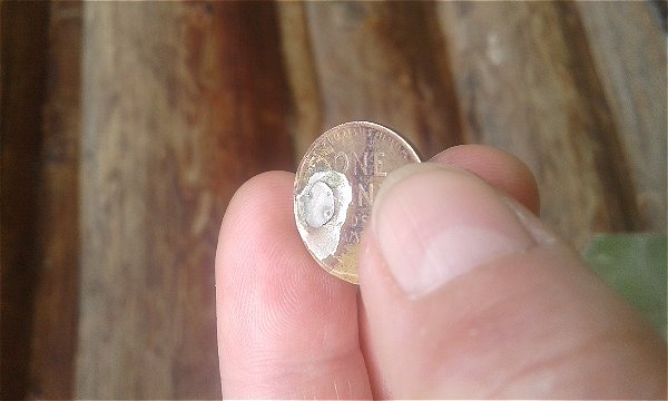 1924-Wheat-Penny-Can't-Describe