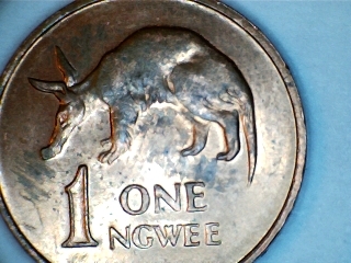 Animals-On-Circulating-Coins