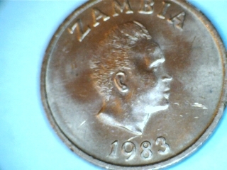 Animals-On-Circulating-Coins