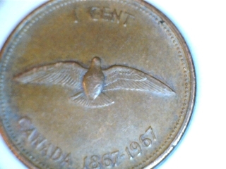 Animals-On-Circulating-Coins