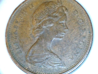 Animals-On-Circulating-Coins
