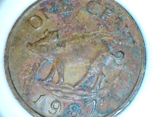 Animals-On-Circulating-Coins