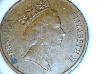 Animals-On-Circulating-Coins