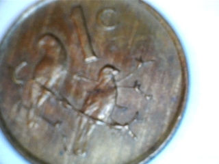 Animals-On-Circulating-Coins