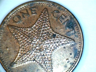 Animals-On-Circulating-Coins