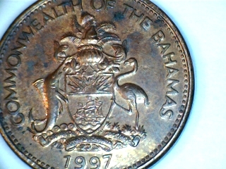 Animals-On-Circulating-Coins