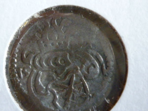 Need-Help-With-Identification