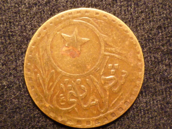 Need-Help-With-Identification
