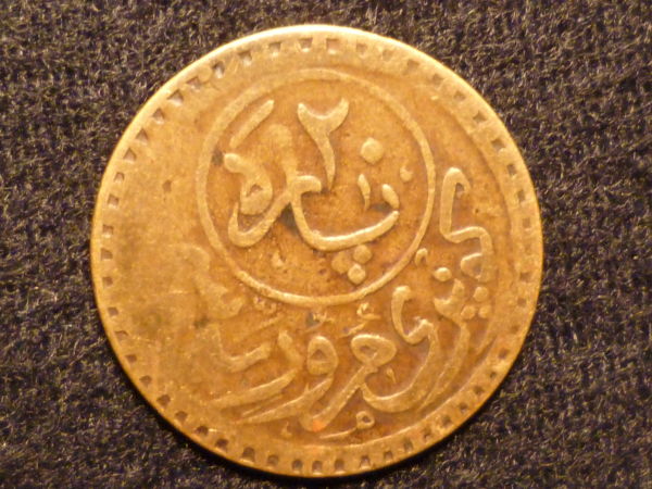 Need-Help-With-Identification